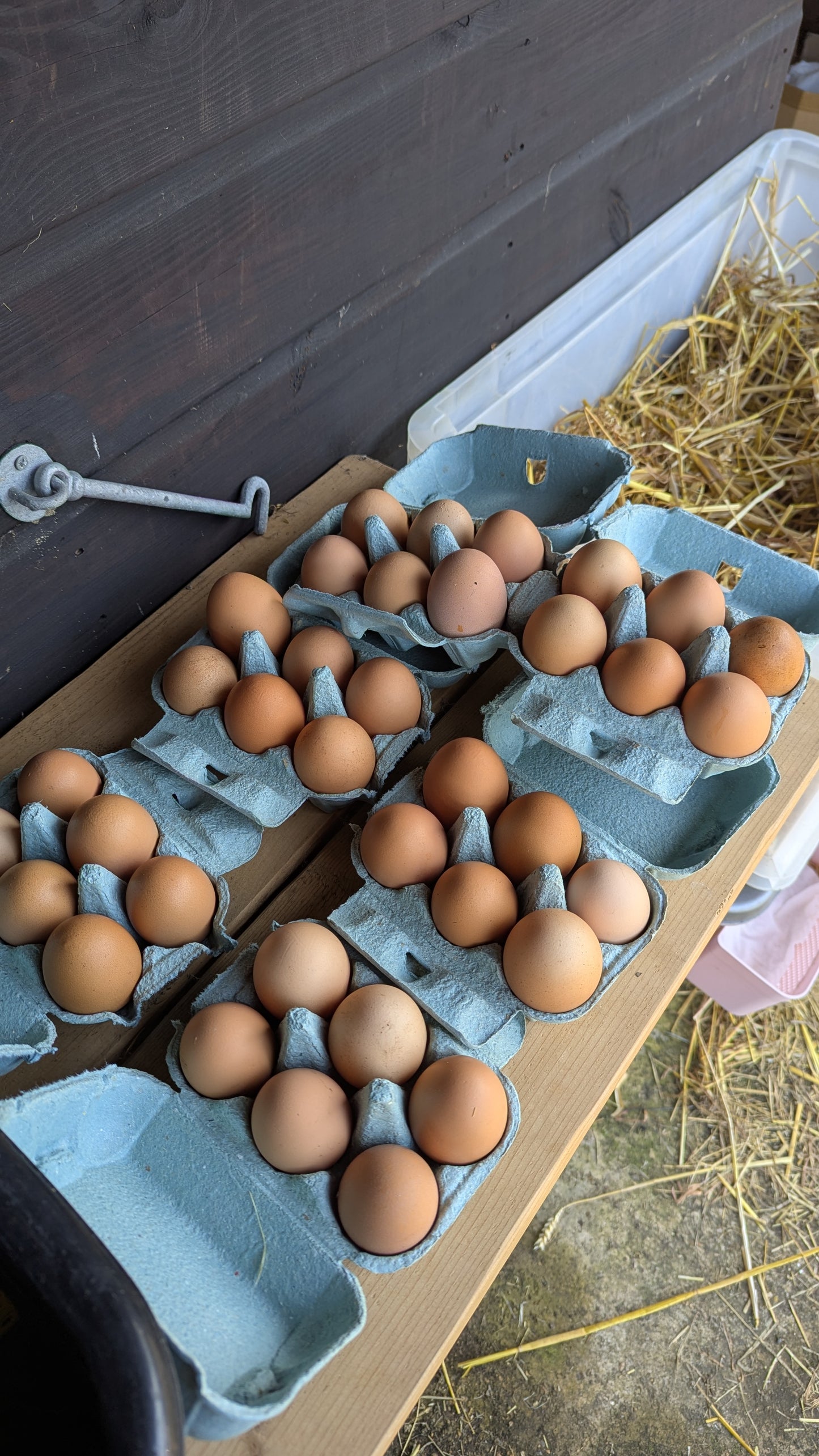 1/2 Dozen Free Range Eggs (x6)